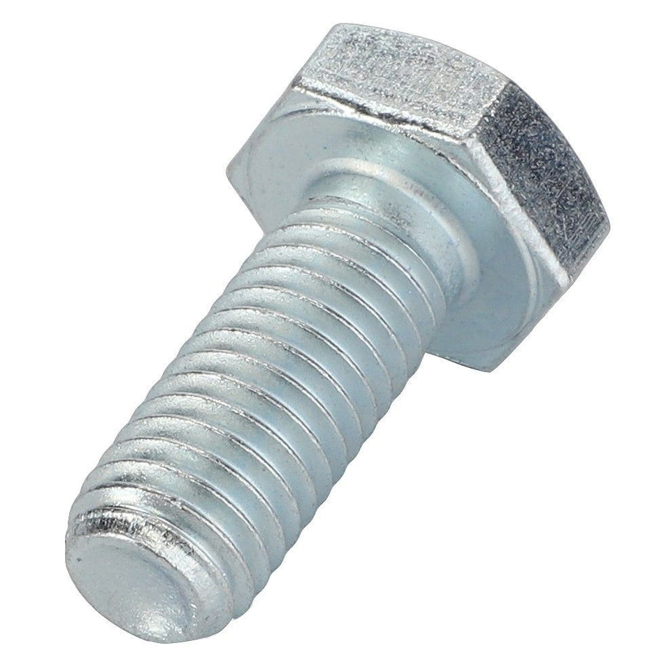 Hexagonal Head Bolt M10x25