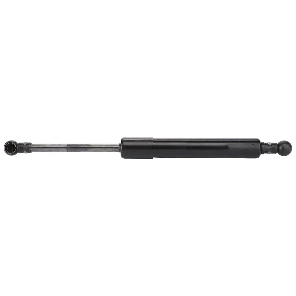 Door Gas Strut