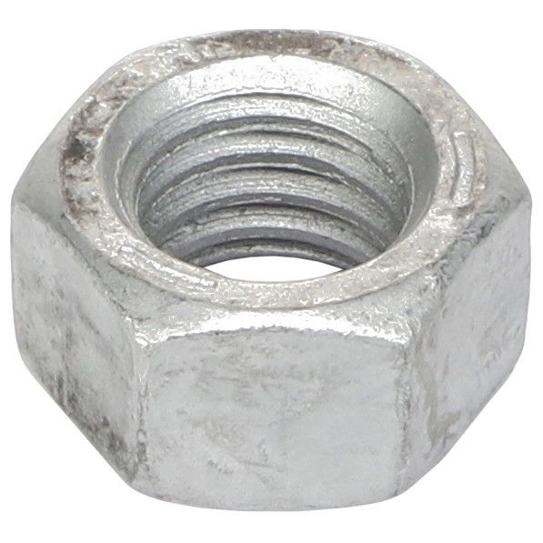 Hex Nut
