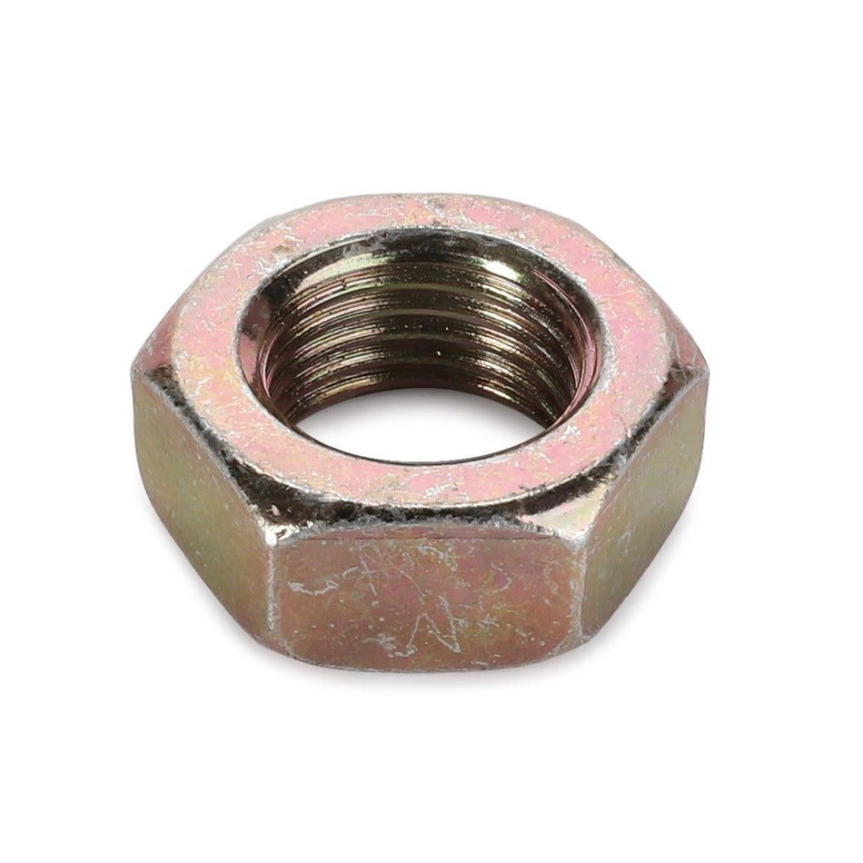 Hex Nut