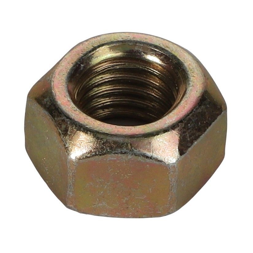 Hex Nut