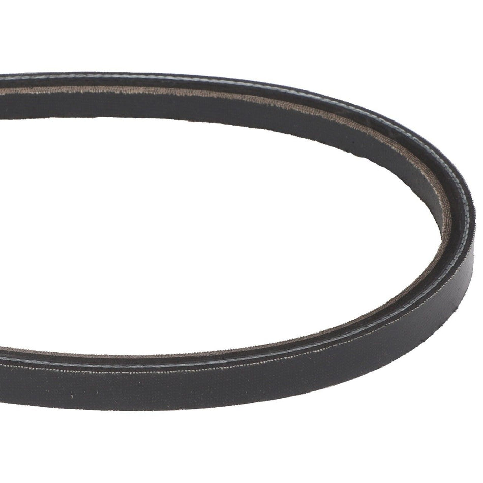 Compressor Belt, 51"