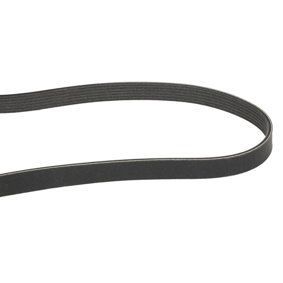 Serpentine Belt