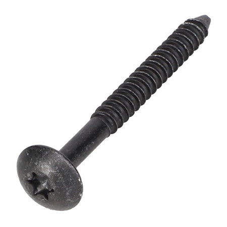 Torx Screw