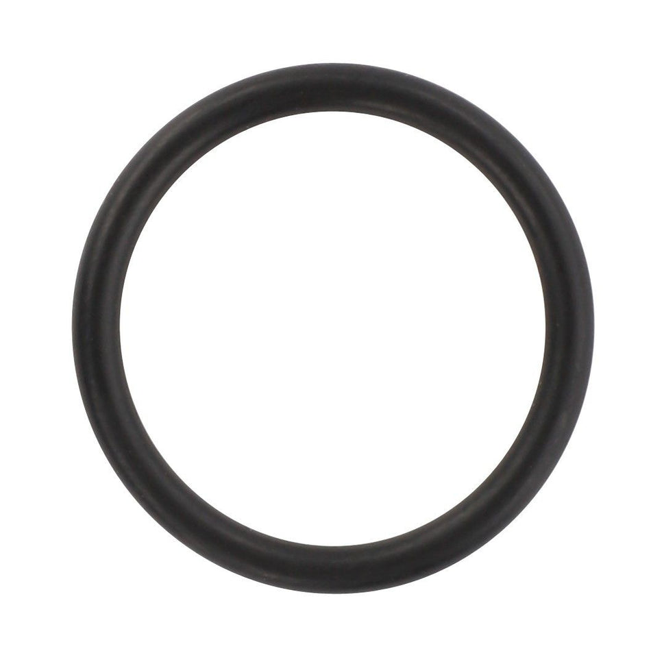 O-Ring Seal