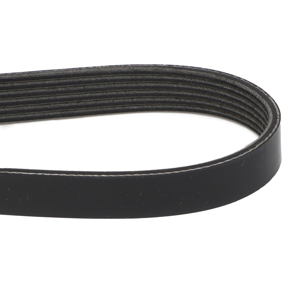 AC Compressor Alternator Belt, 1623.5mm