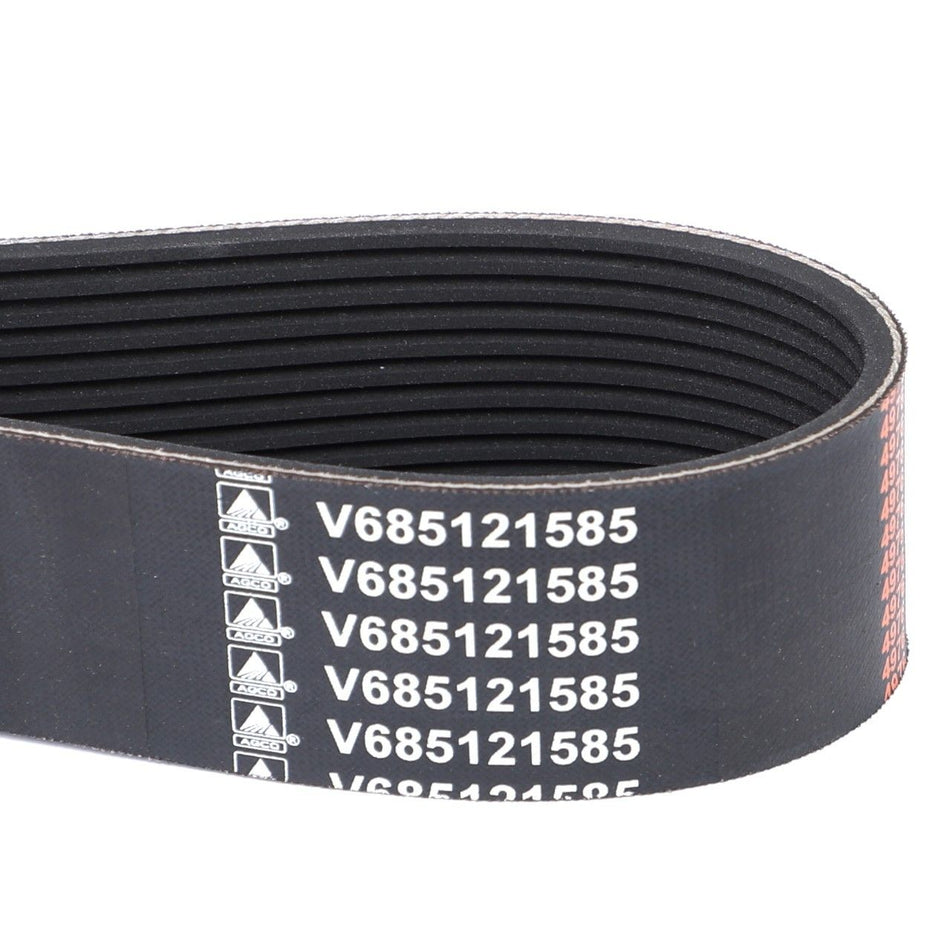 Serpentine Belt