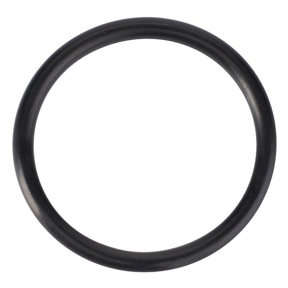 O-Ring 25.4 x 3.17 mm