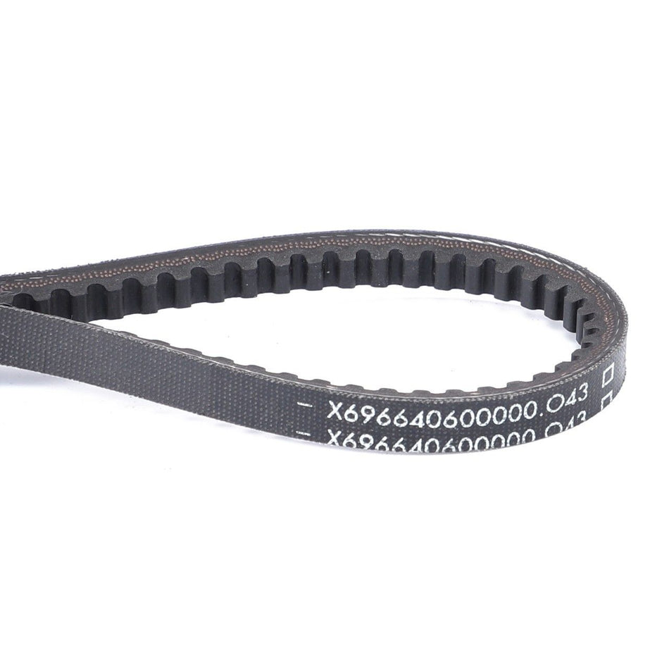 V-Belt 825 mm Cogged