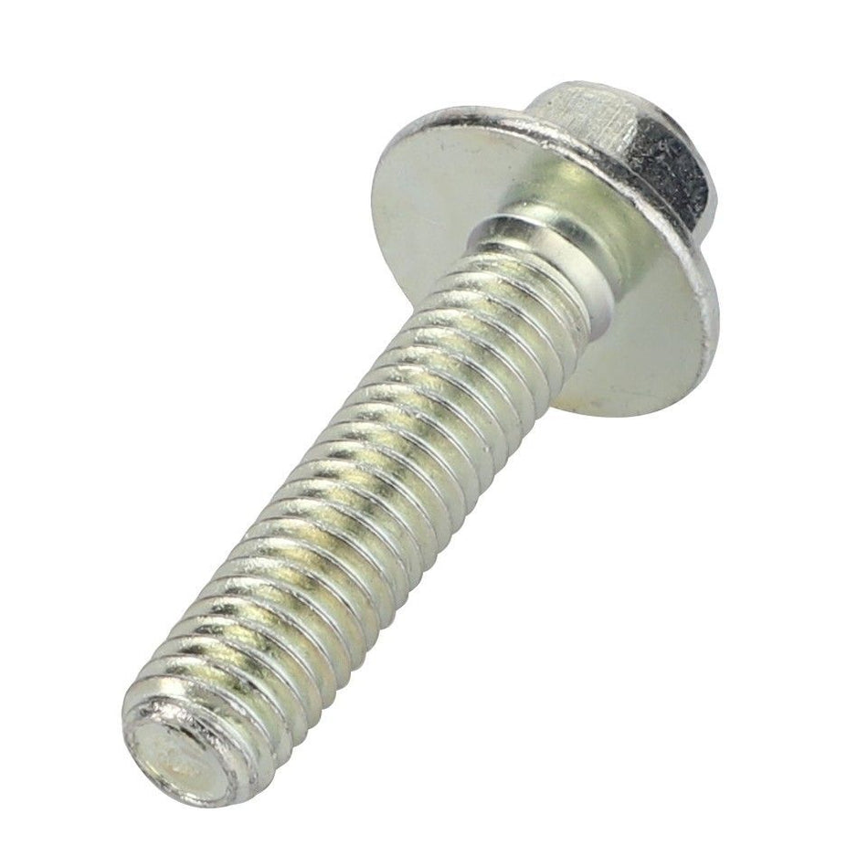 Hexagon Flange Bolt