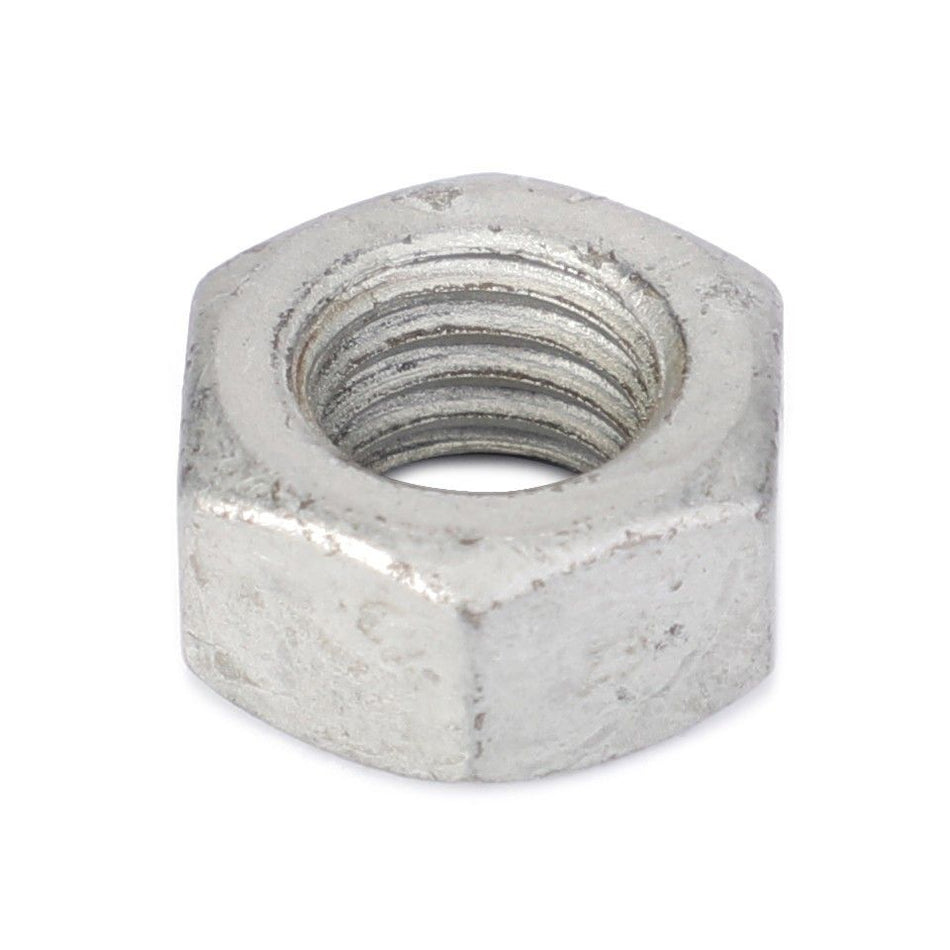 Hex Nut