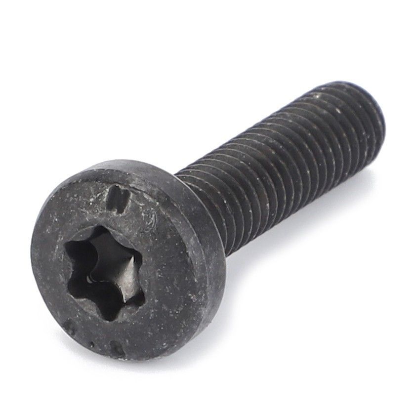 Screw, M6X25