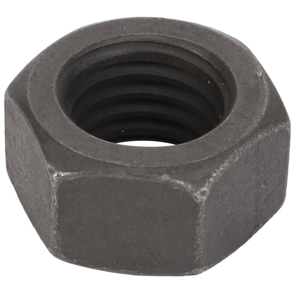 Hex Nut