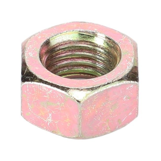 Hex Nut