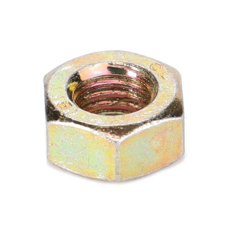 Hex Nut