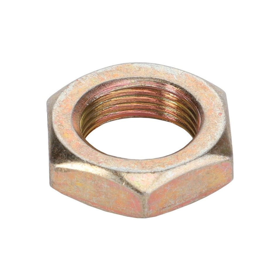 Hex Nut