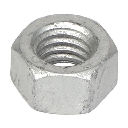 Hex Nut