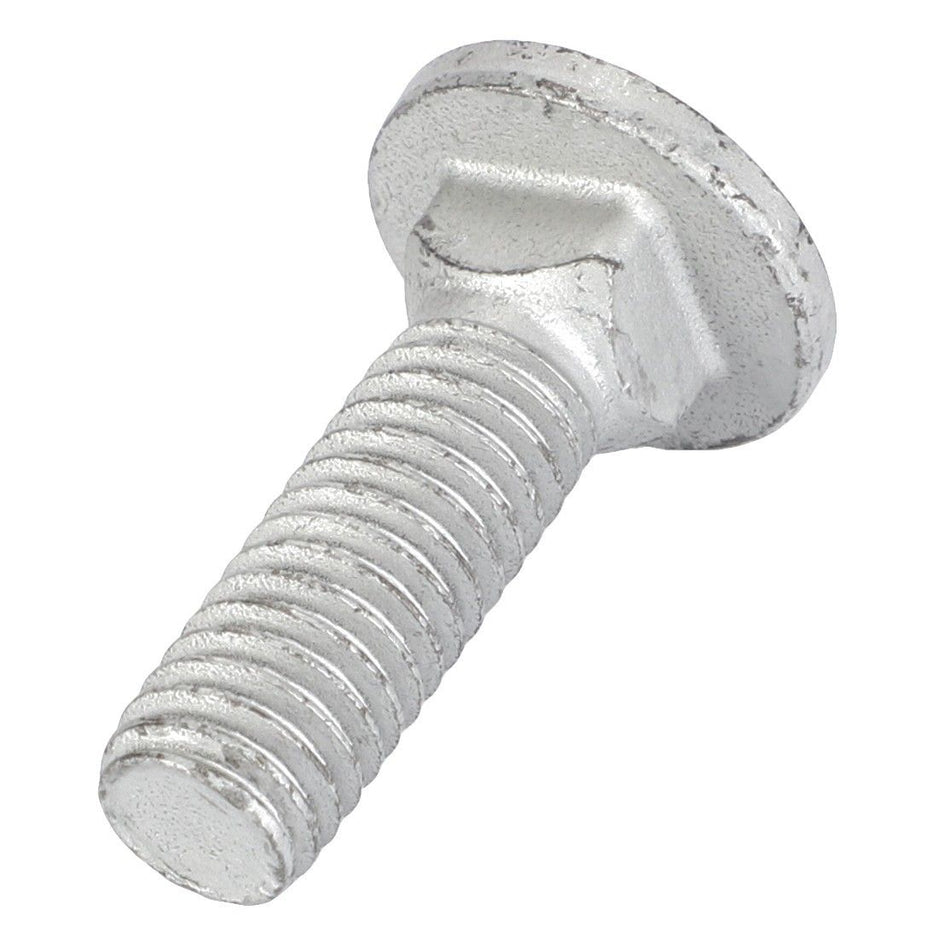 Round Head Square Neck Carriage Bolt