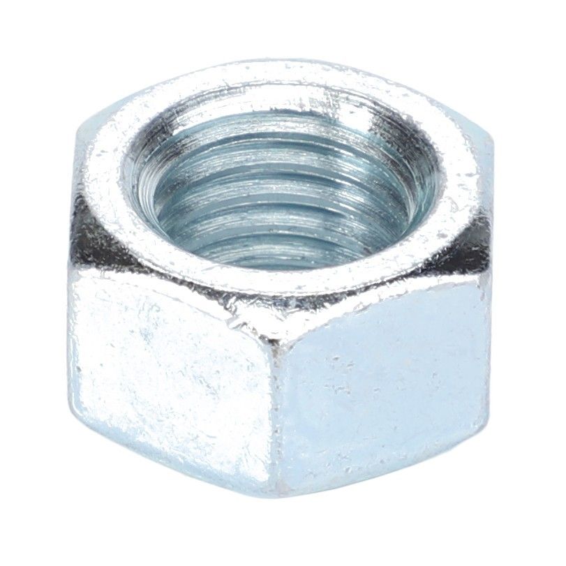 Hex Nut