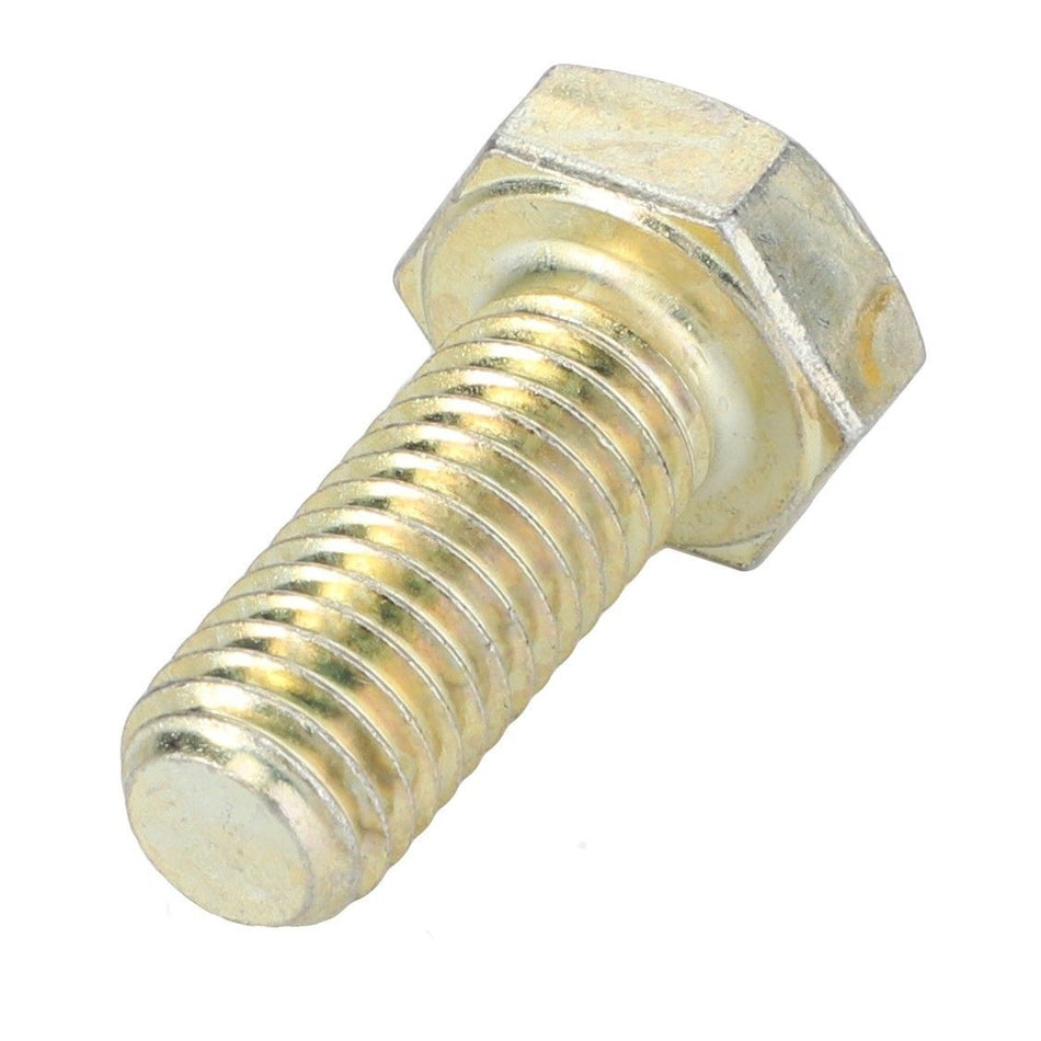Hex Head Bolt