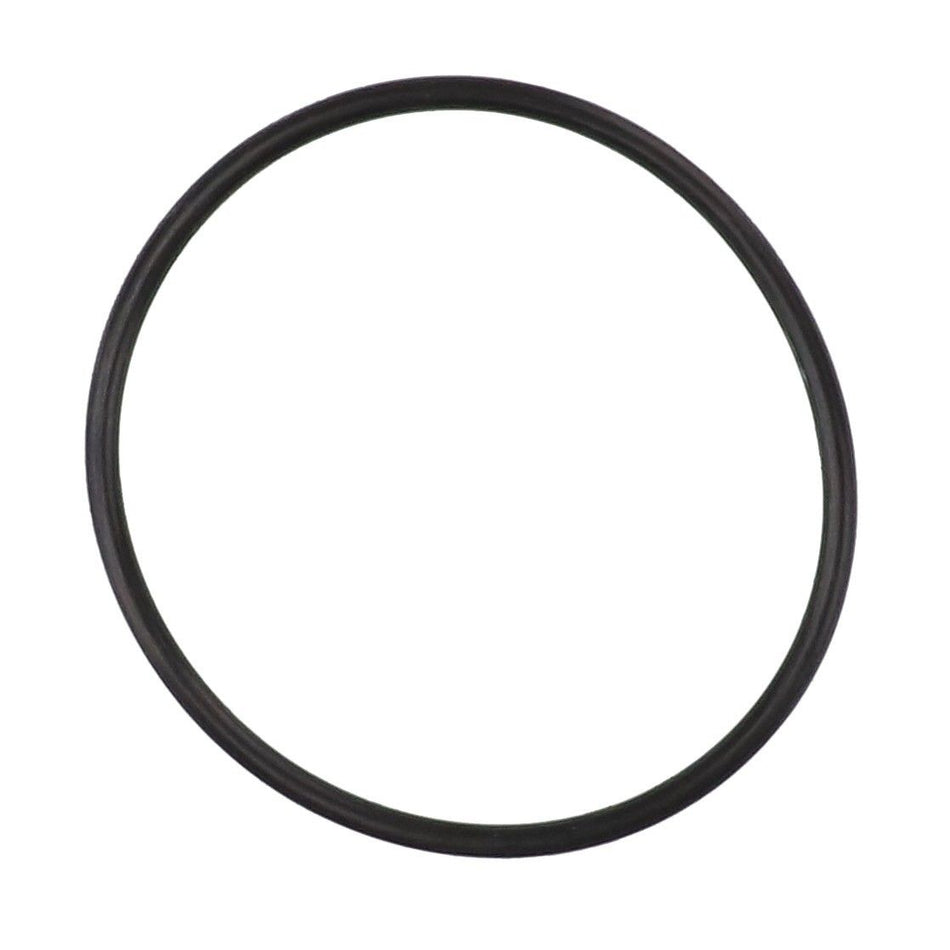 O-Ring Seal