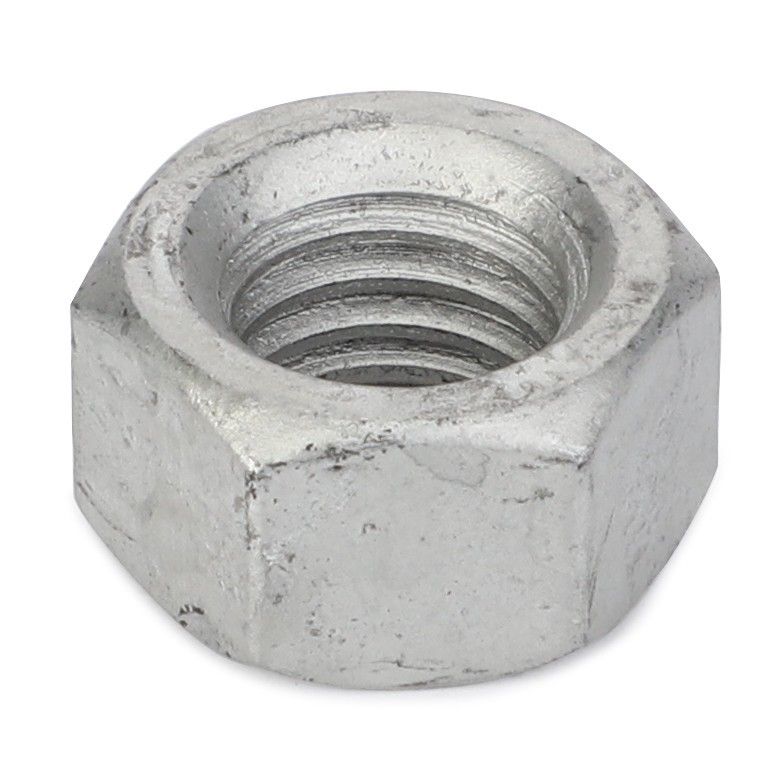 Hex Nut