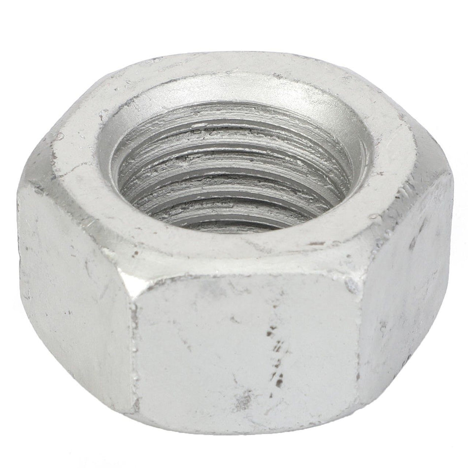 Hex Nut