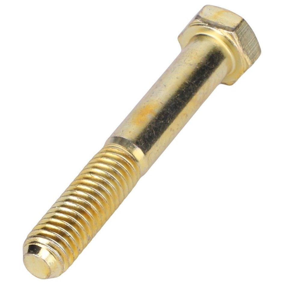 Hexagonal Head Bolt