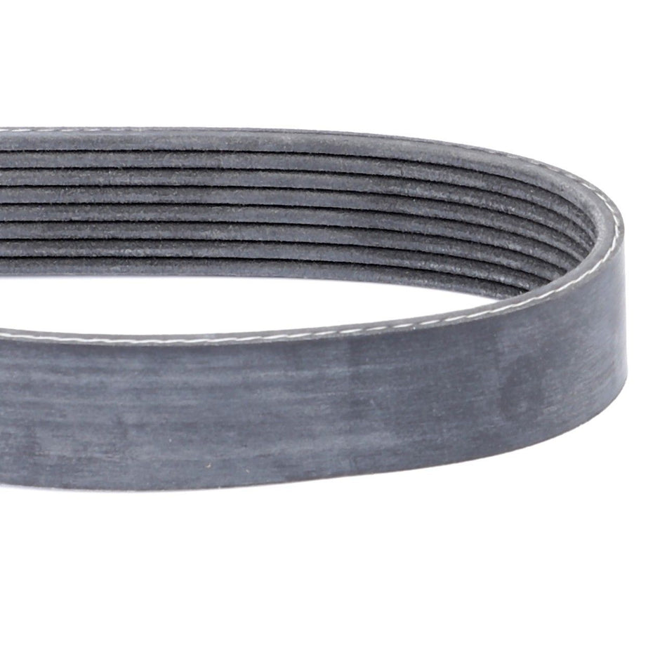 Serpentine Belt, PK8, 2424mmX28.48mm