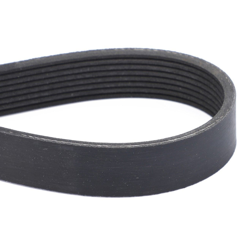 Serpentine Belt, PK8 Profile