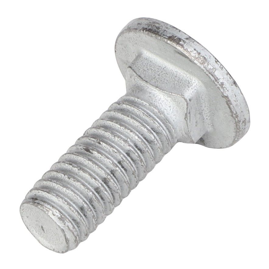 Carriage Bolt