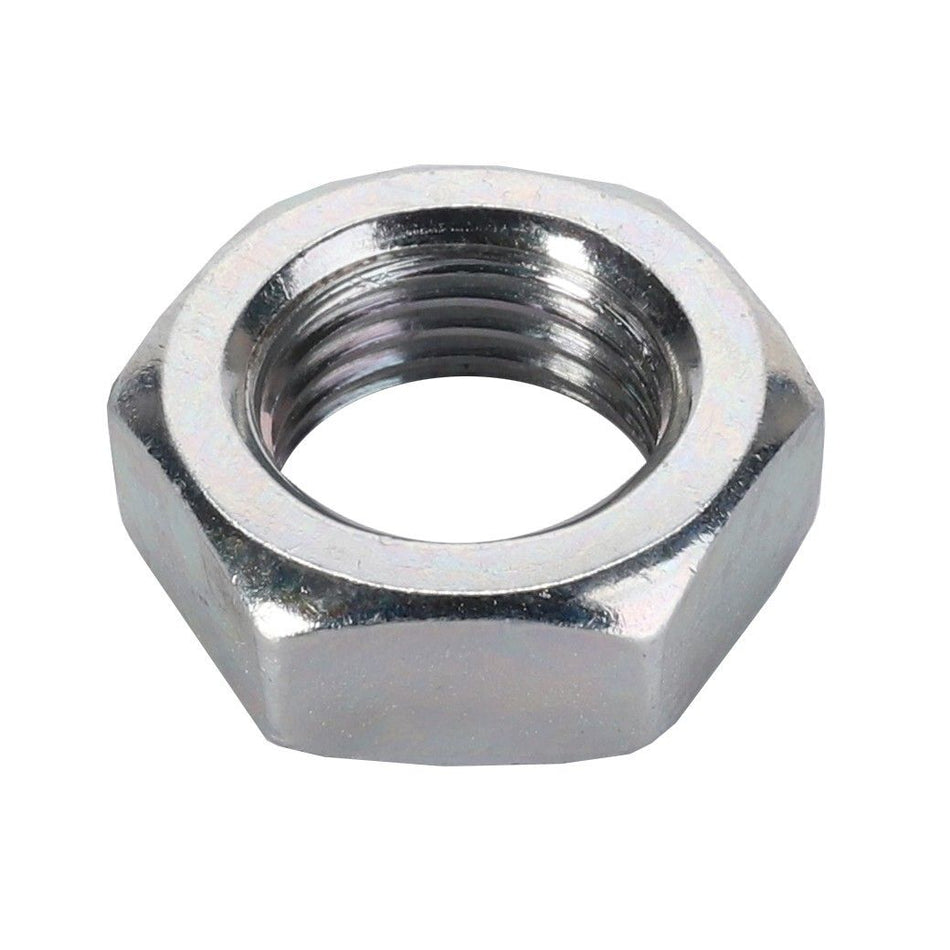 Hex Nut