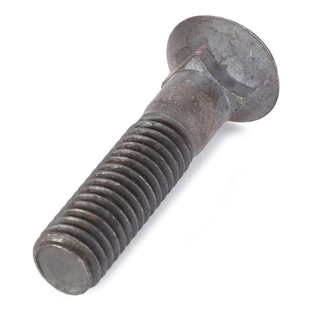 Plow Bolt