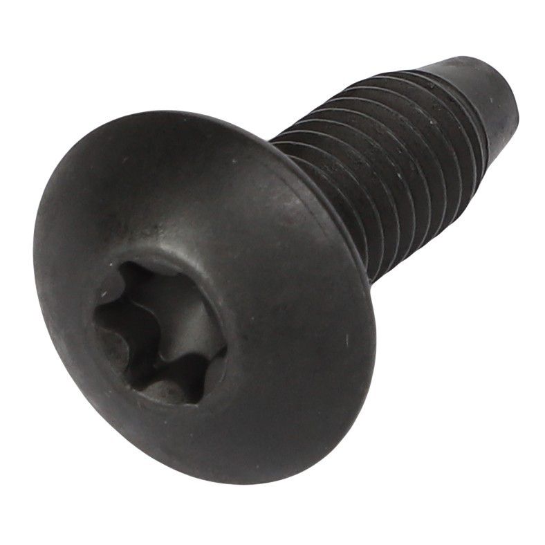 Self-Tapping Screw