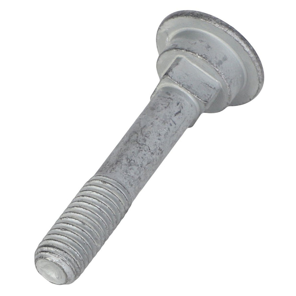 Carriage Bolt, M10X1