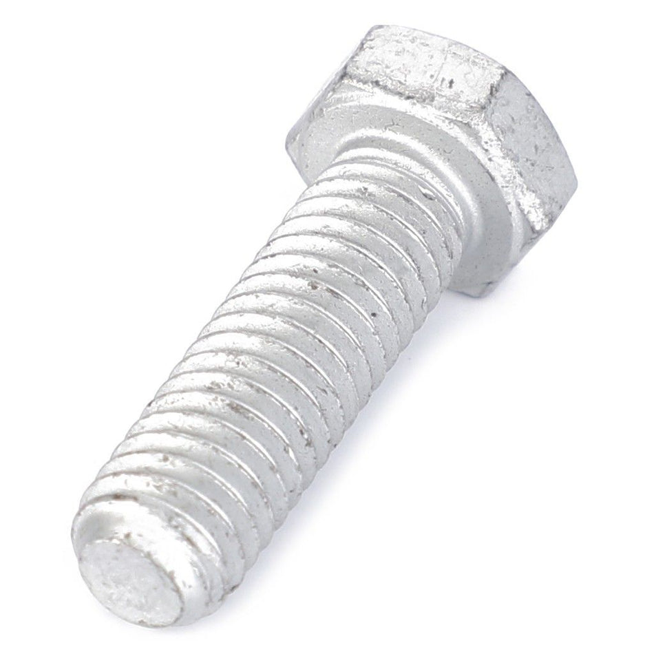 Hexagonal Head Bolt