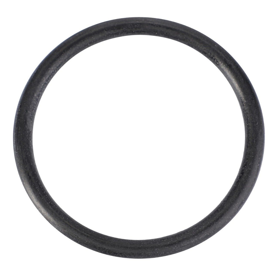 O-Ring, 25.4 x 3.17 mm