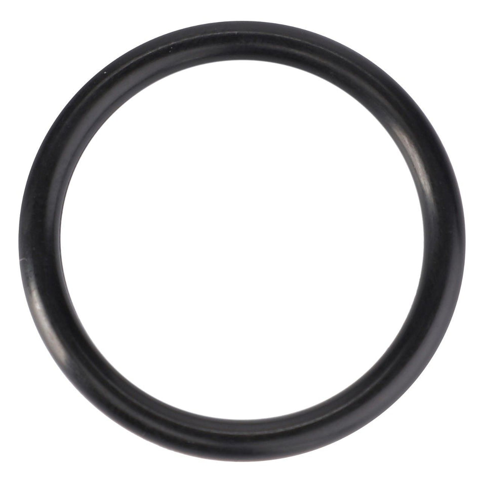 O-Ring, Centre Housing, 29,74 x 3,53 mm