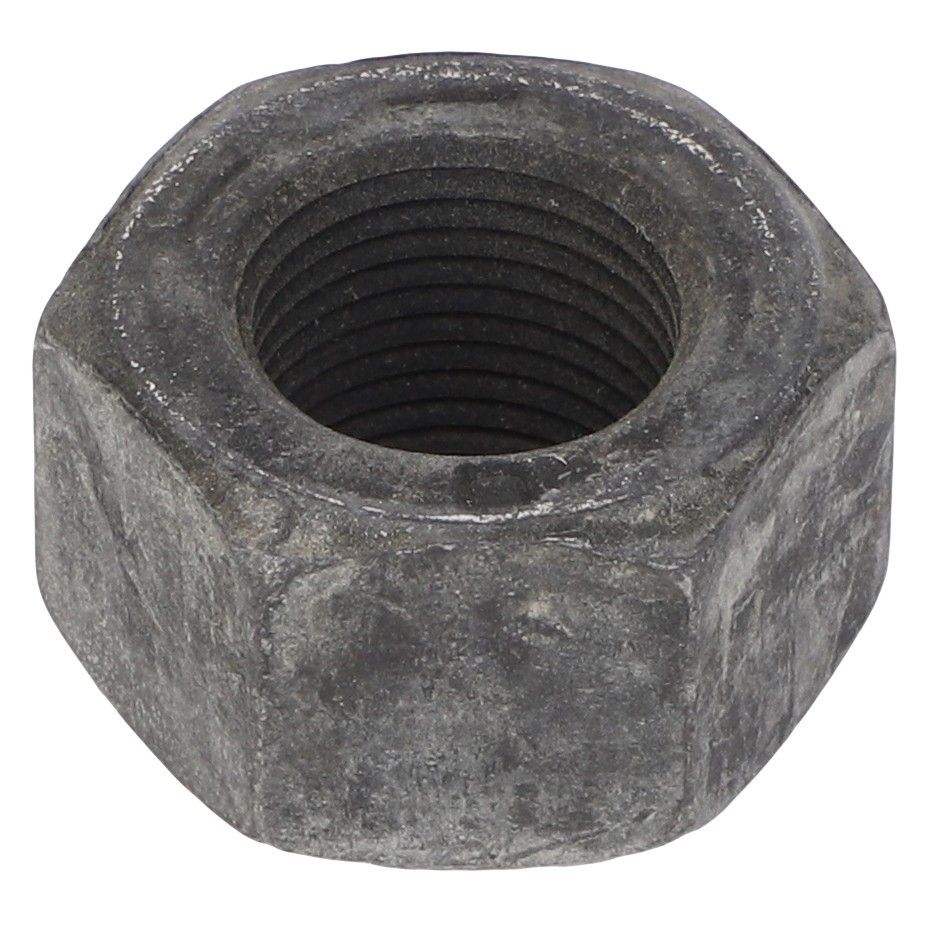 Hex Nut