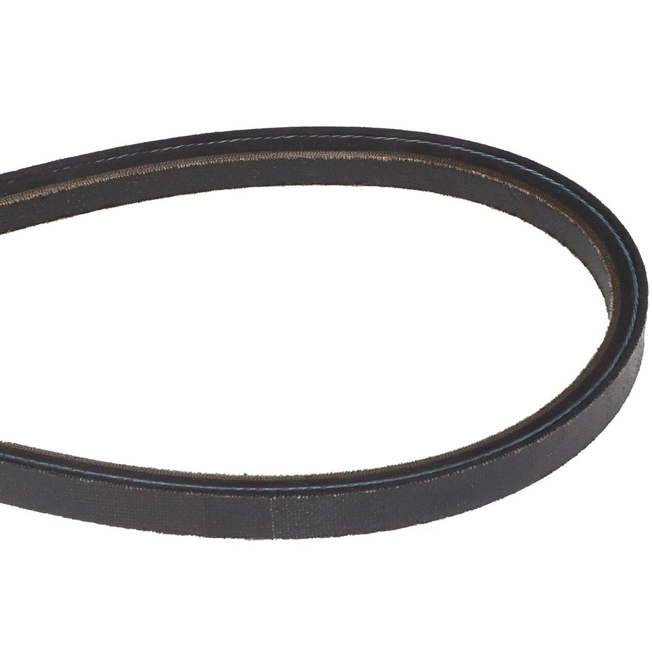 Alternator Belt