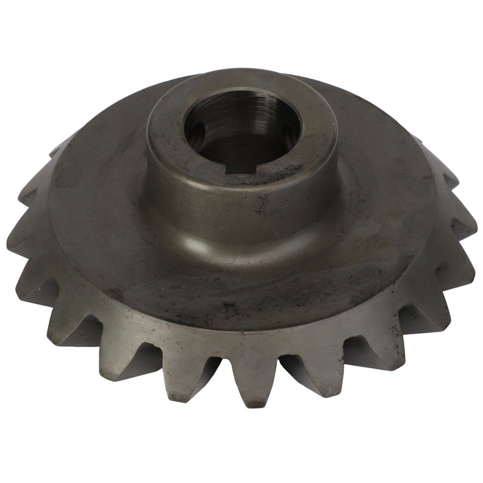 Bevel Gear