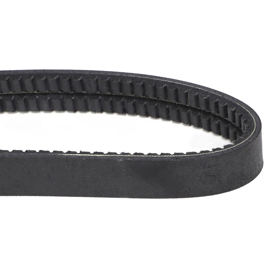 Shoe Drive Belt