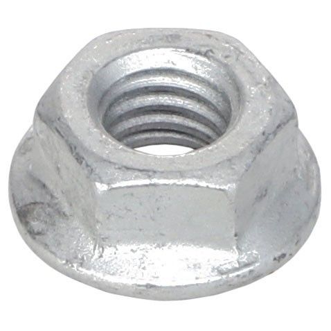 Hex Flange Nut