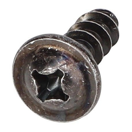 Pan Head Screw