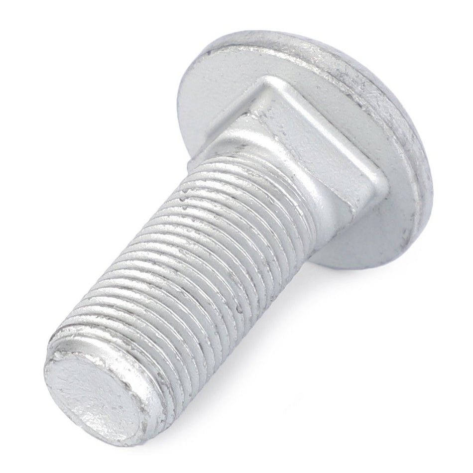 Round head Screw 52.29mm - M16X40