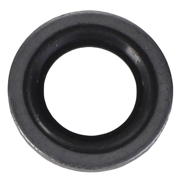 Sealing Washer