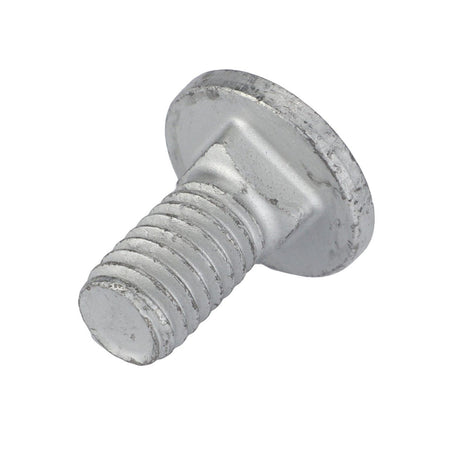 Round Head Square Neck Carriage Bolt