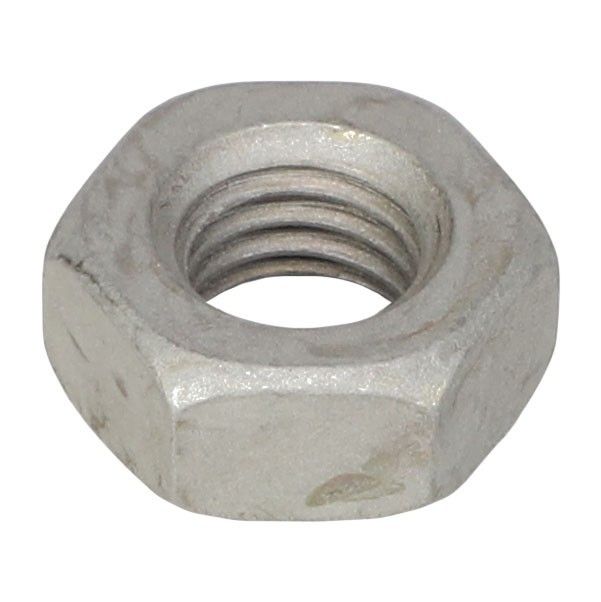 Hex Nut