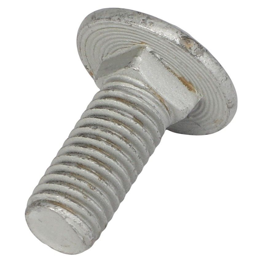 Round Head Square Neck Carriage Bolt