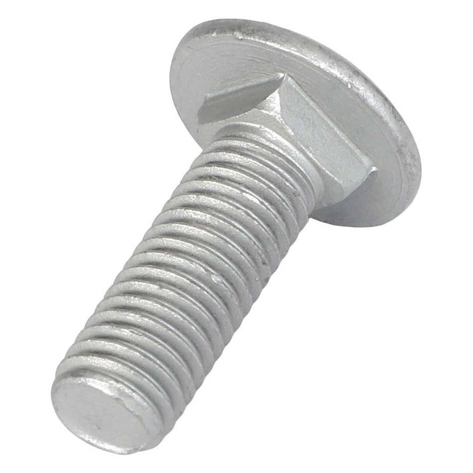 Round Head Square Neck Carriage Bolt